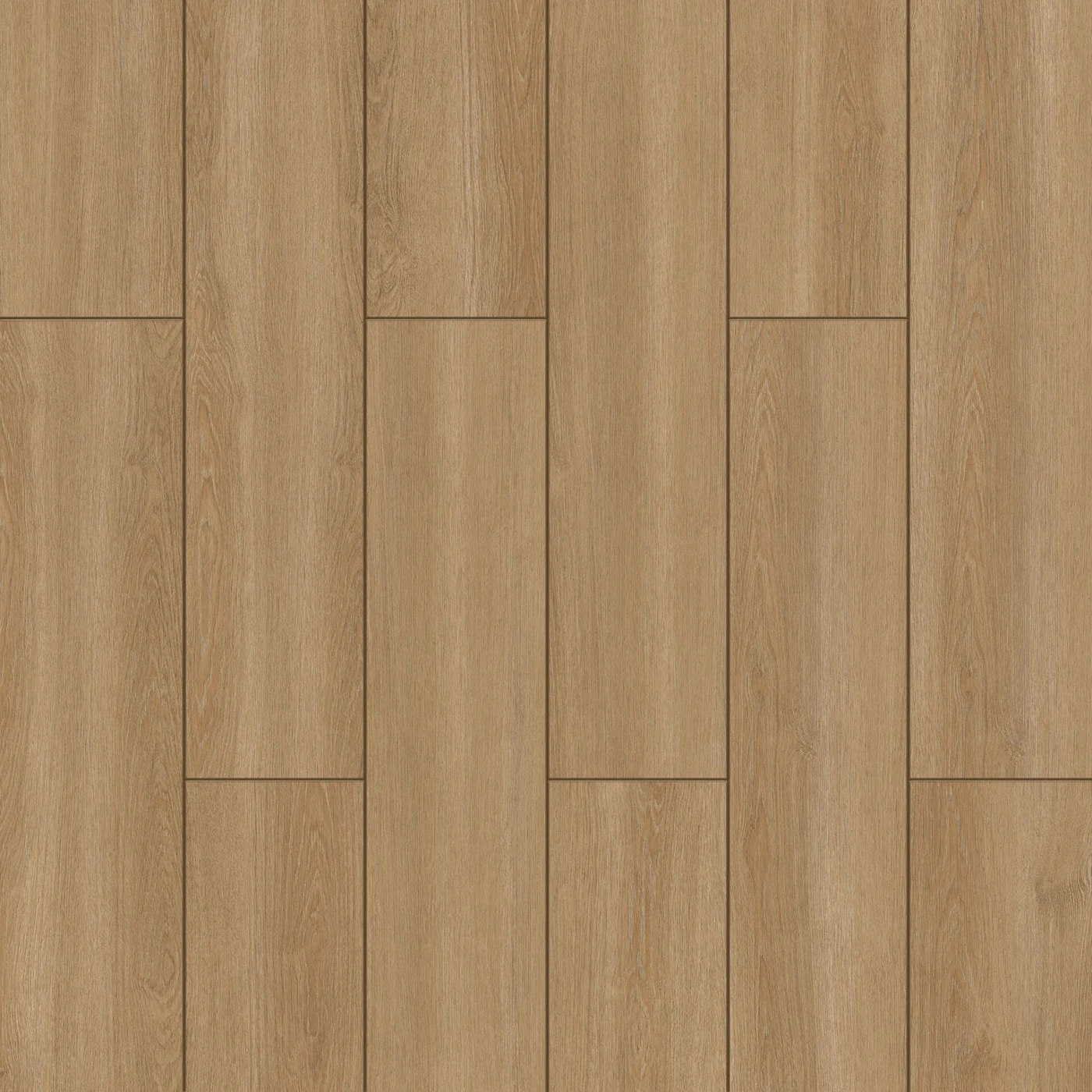 Belen Meşe 4550 laminat parke dokusu